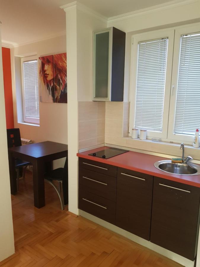 Rajiceva 5- Apartman Sa Prostranom Terasom I Garaznim Mestom Kragujevac Exteriér fotografie